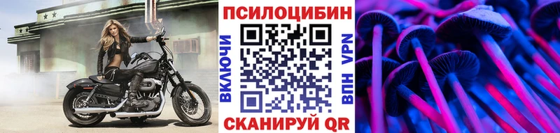 Галлюциногенные грибы Psilocybe  Бокситогорск 